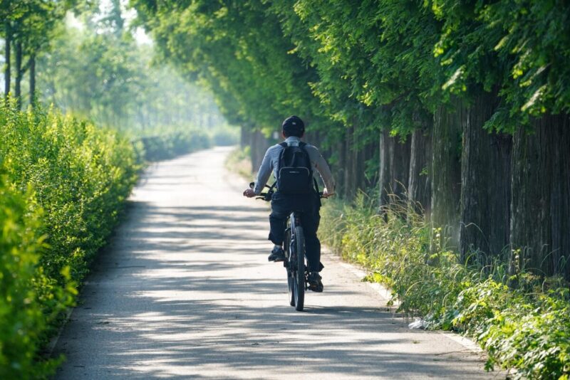 Tensione Alle Stelle al Tour: Pogacar e Vingegaard Pronti Al Duello del 2025