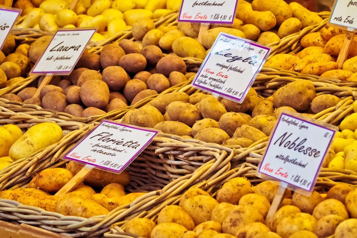 Saldi Estivi 2025: Una Guida Completa alle Date e alle Regole in Italia