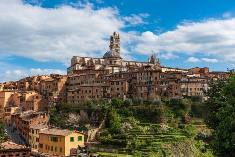 Palio di Siena 2025: Tutto Pronto per la Tradizione Centenaria